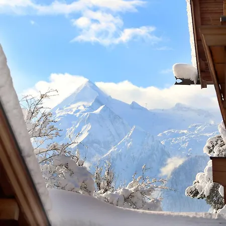 Apartment Gaestehaus Trixl *