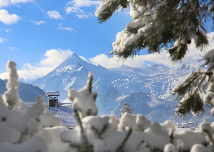 Gaestehaus Trixl * Zell am See